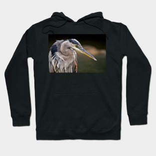 Blue Heron Hoodie